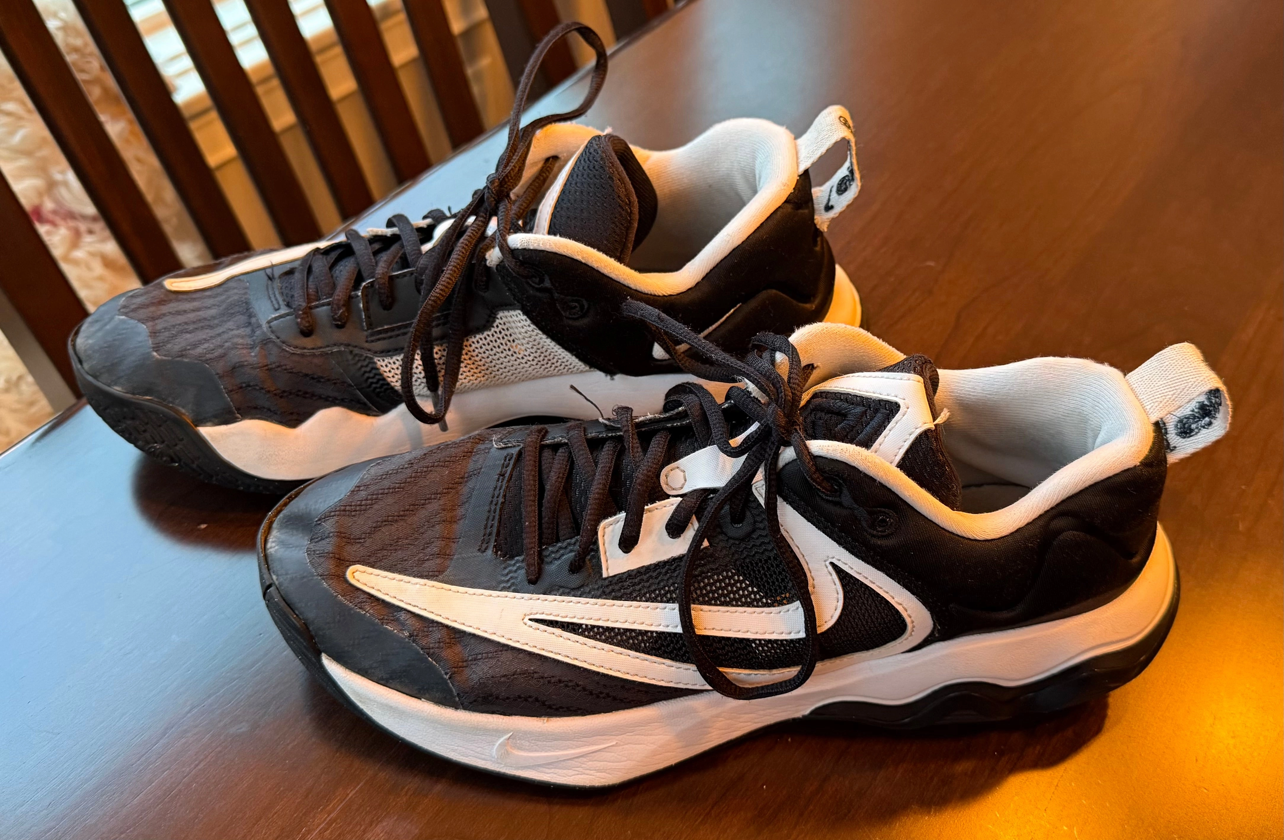 Asics Gel Venture 9 Trail Running Shoes .Giannis Immortality 3 Nike Basketball Shoe GUC - Shoes: 10.5 (Adult)