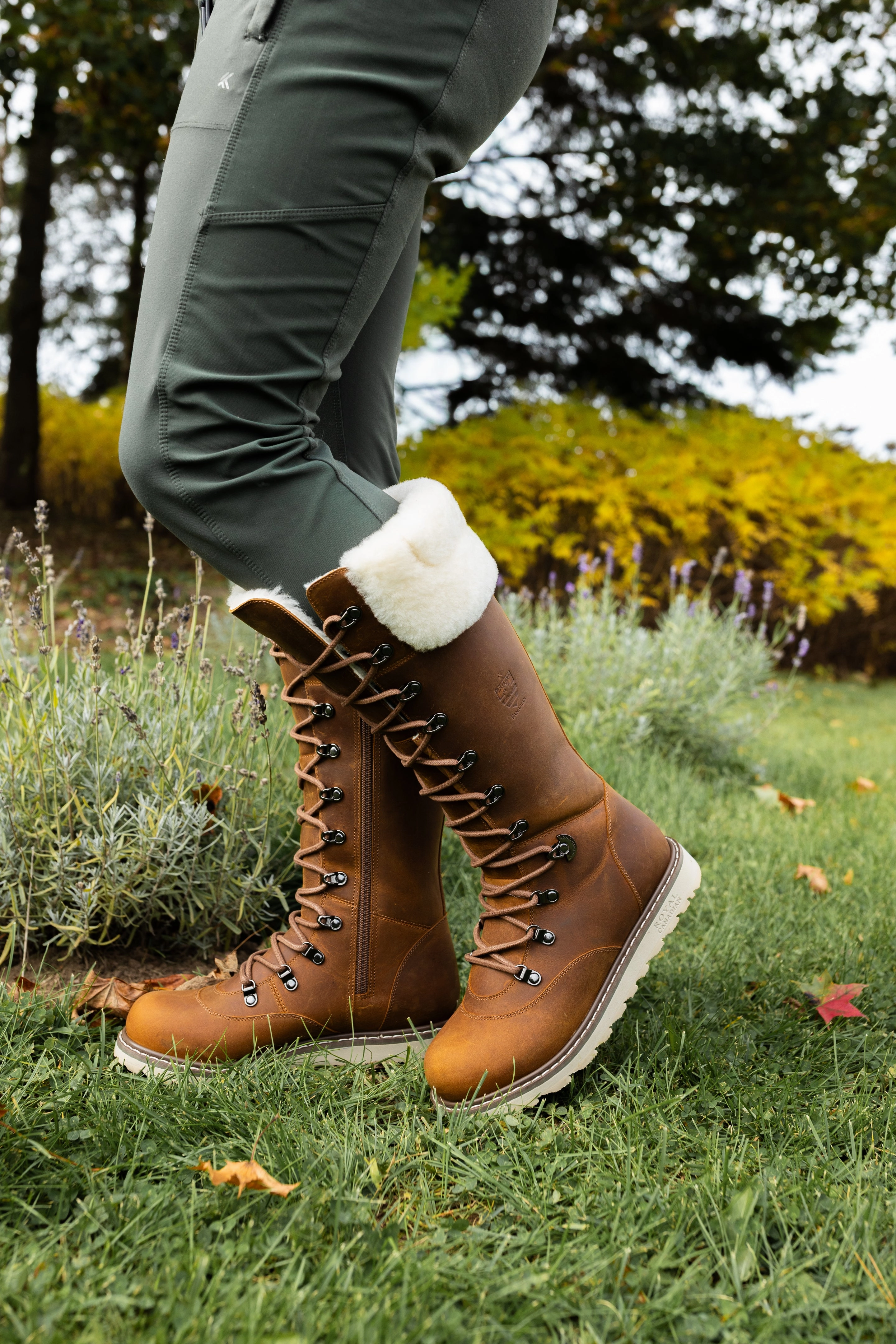 DALHOUSIE | Women Wayfinder Outdry Waterproof Hiking Shoes