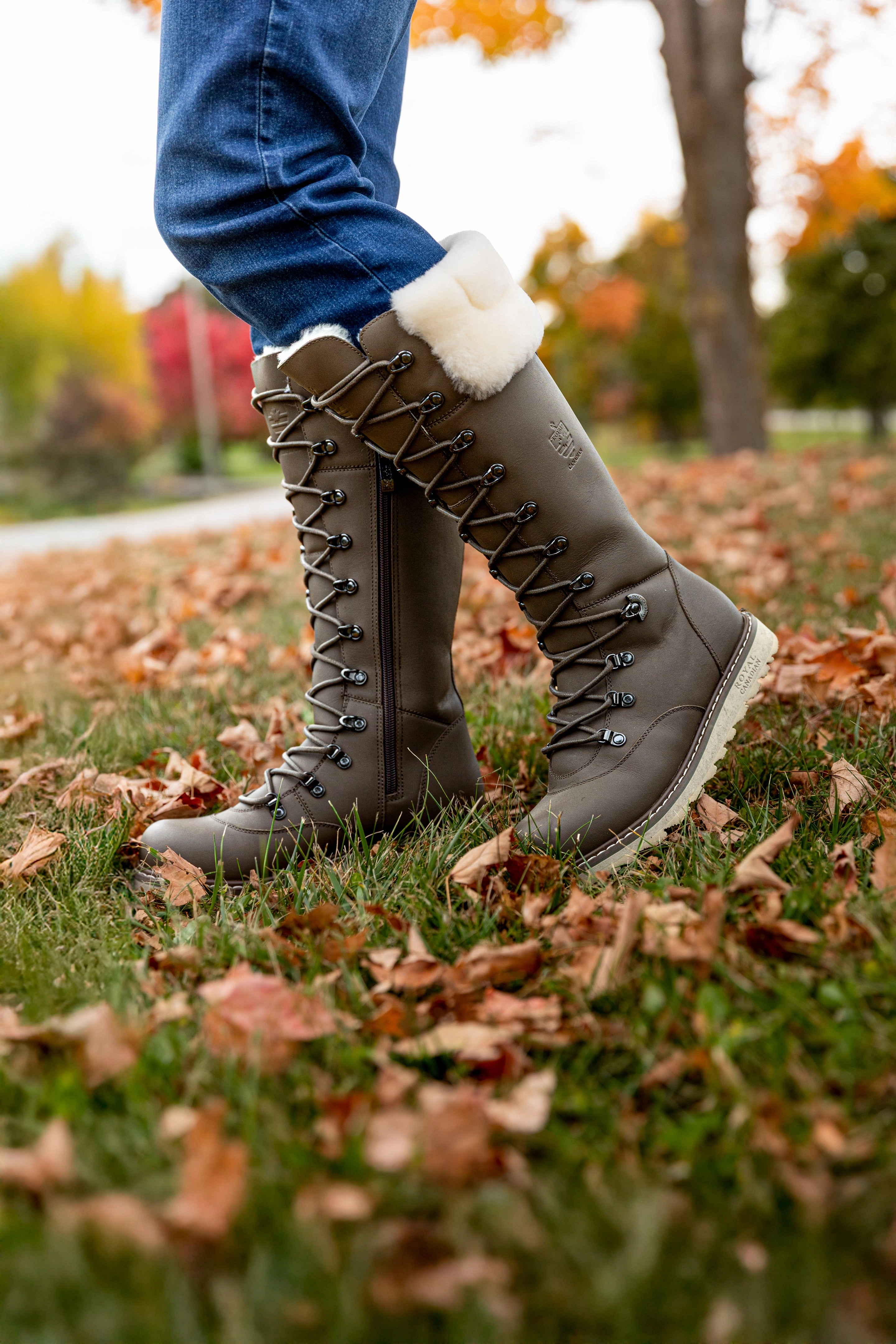 Trail Hiking Shoes DALHOUSIE | Women