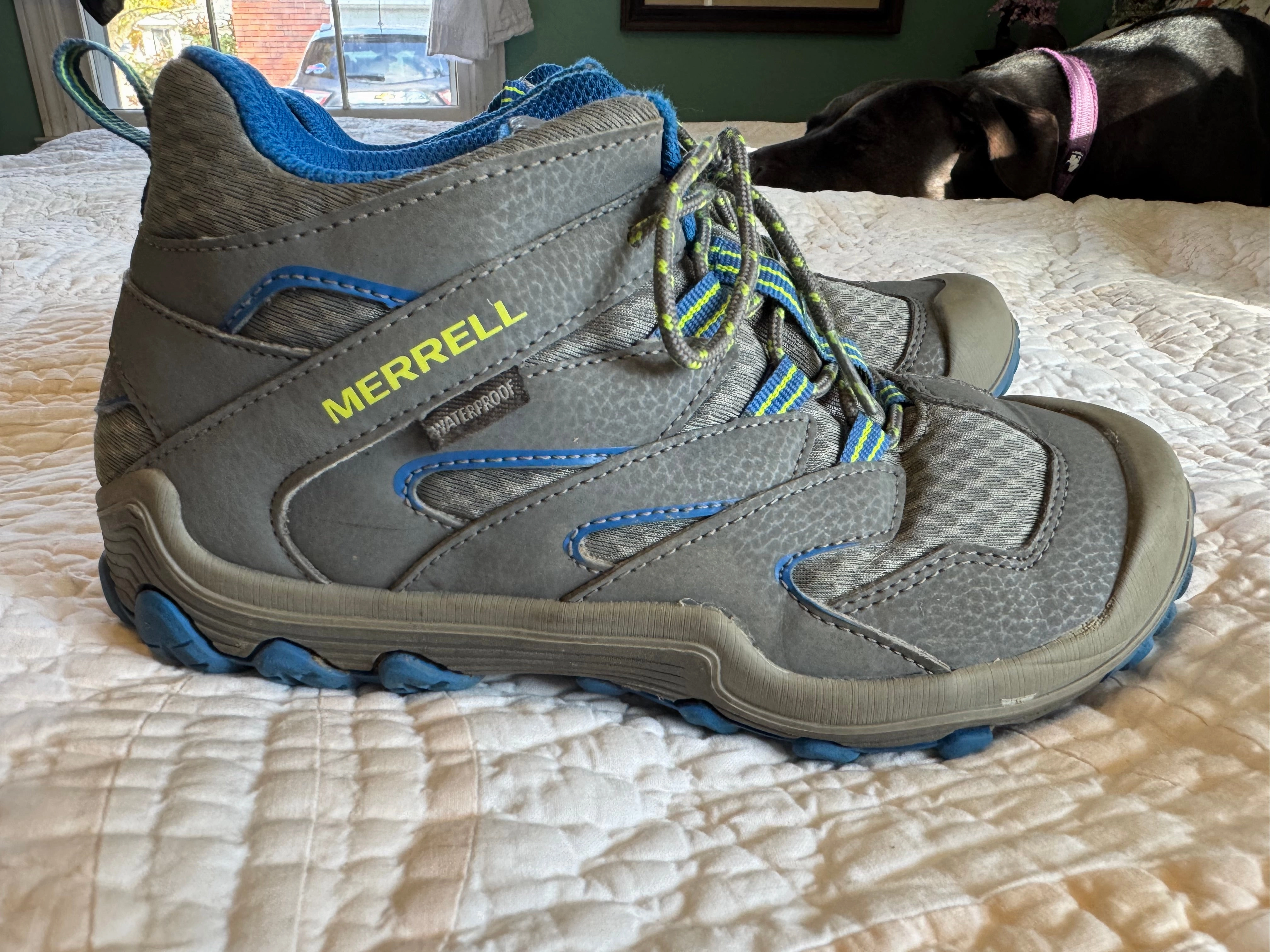Best Hiking Shoes 2023 Merrell chameleon boots Hiking waterproof - Shoes: 4 (Big Kid)