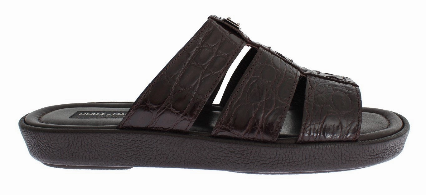 Brown Caiman Crocodile Leather Sandal Shoes Dad Sandals