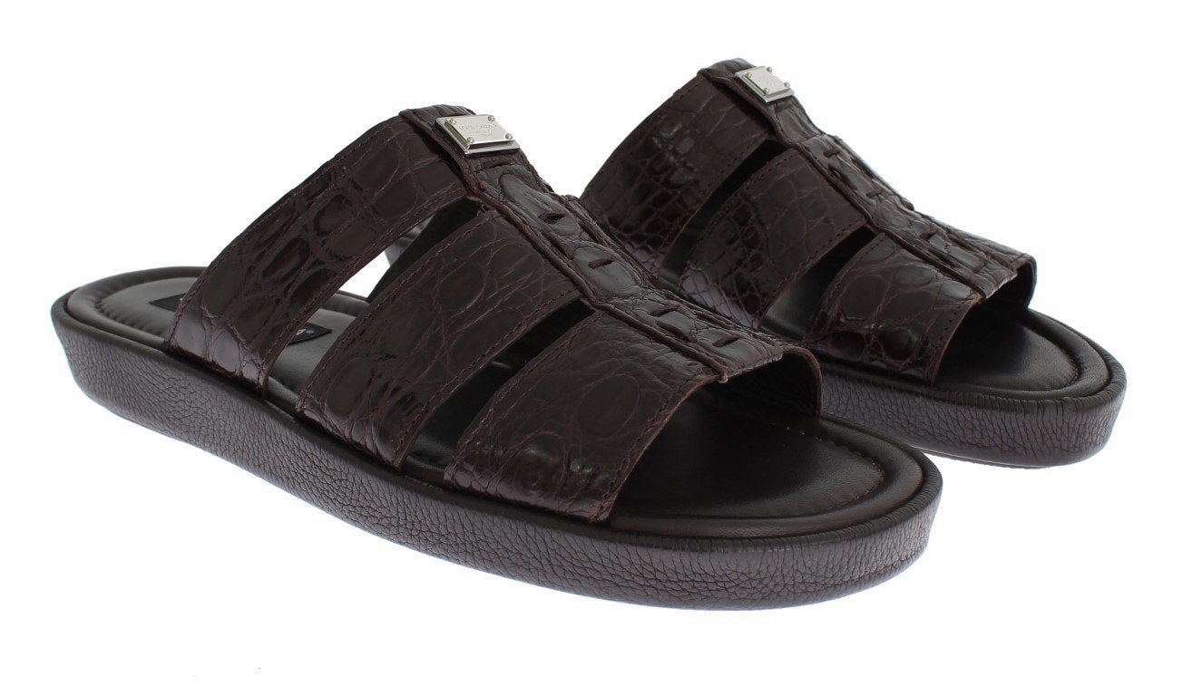 Brown Caiman Crocodile Leather Sandal Shoes Fashion Comfort Sandals