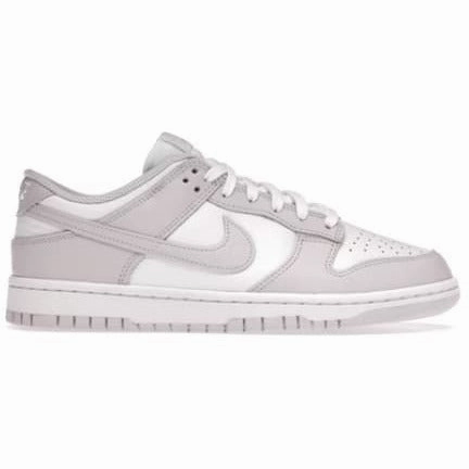 Nike Dunk Low Venice (W) Asics Omni Court Tennis Shoes