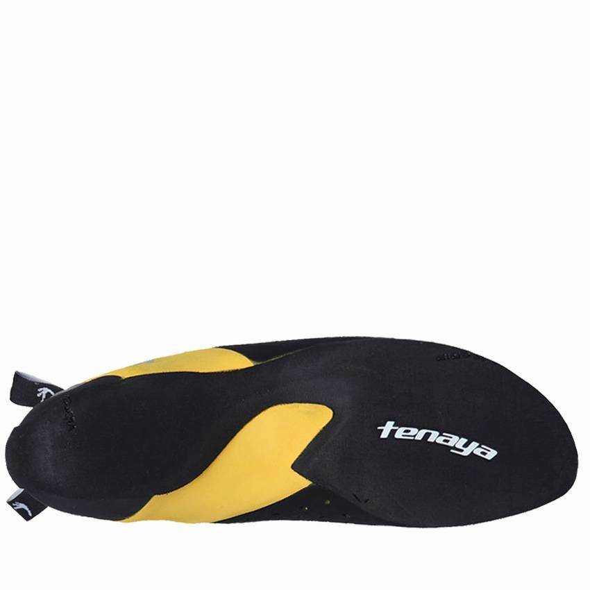 Climbing Shoes Morton's Toe Tenaya Tarifa