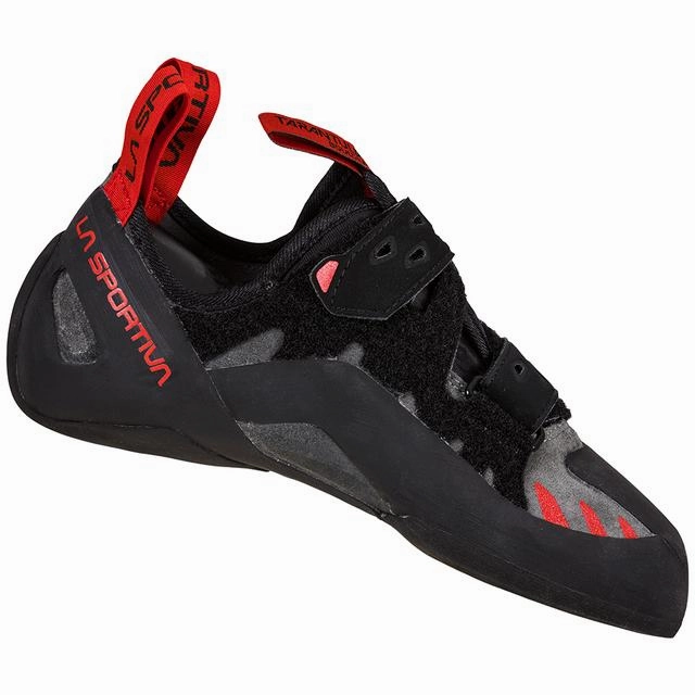 Unisex Tarantula Boulder Madrocks Climbing Shoes